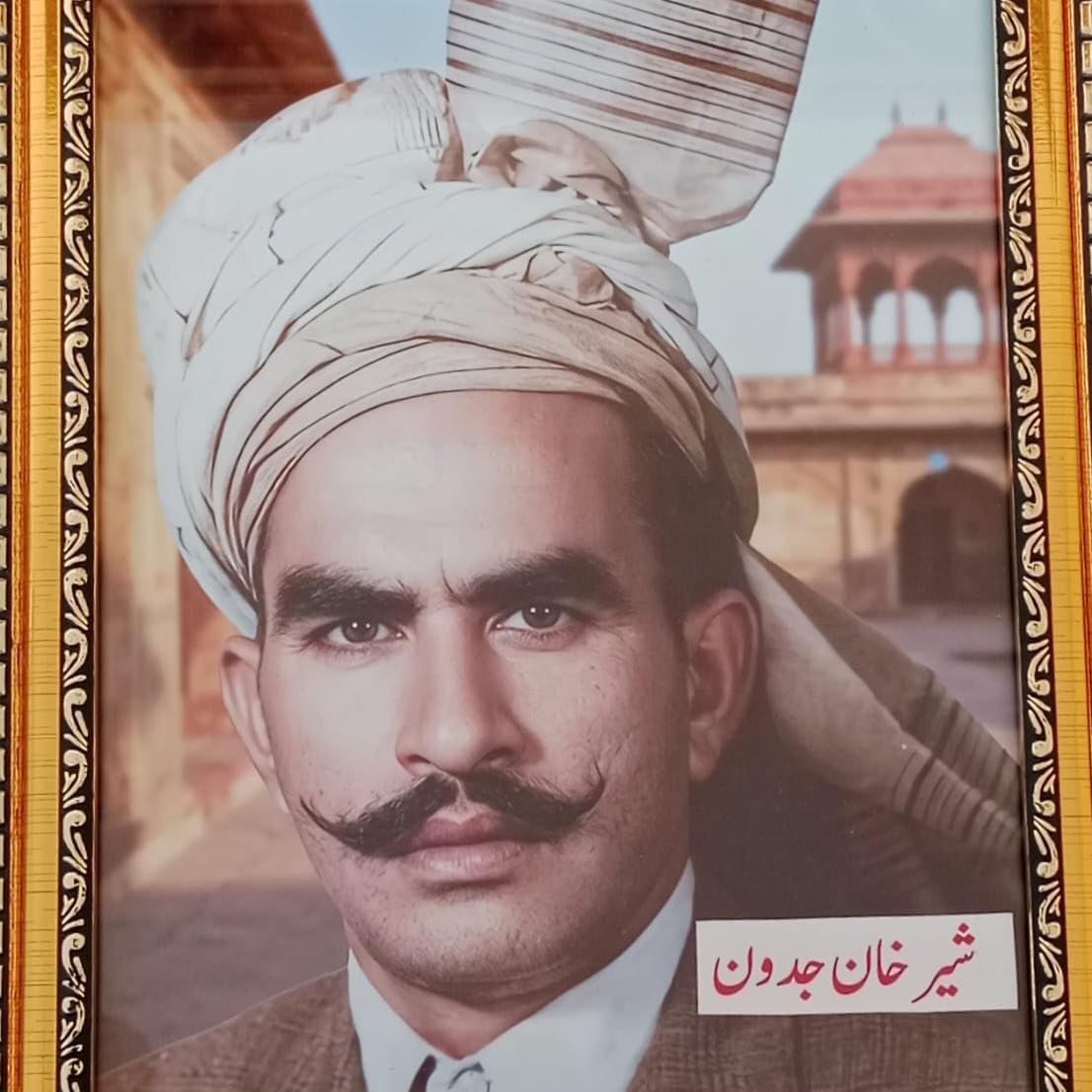 Sohail sher khan pti OFFical