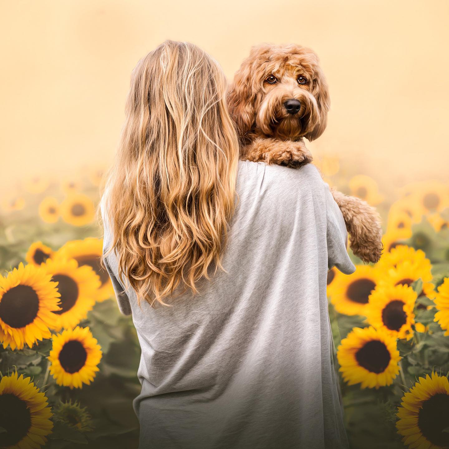 Anna Bittner Hundefotografie