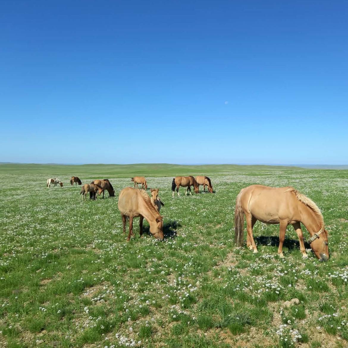Baagii Baterdene on Reels
