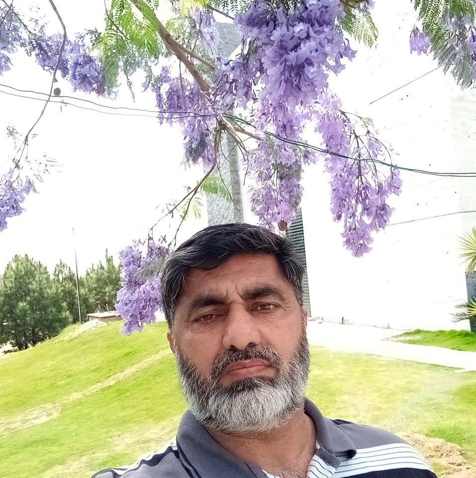 m-awais-arain