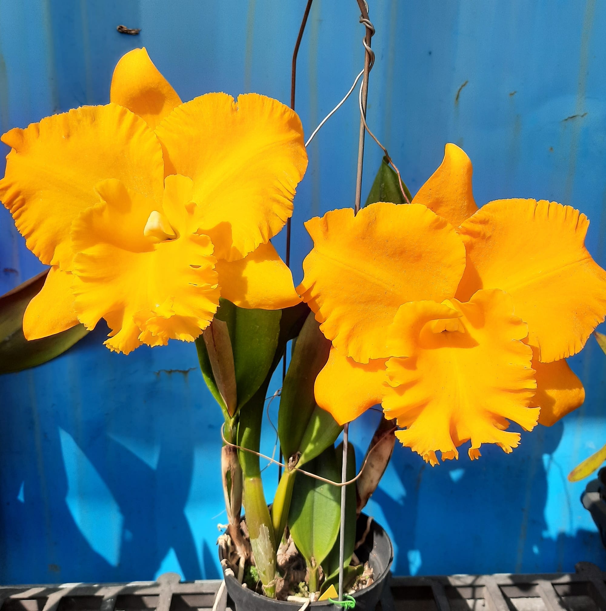 王培毓 on Reels