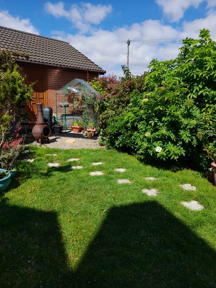 pond ideas UK | Anyone know why some of my fish are coated in white ...