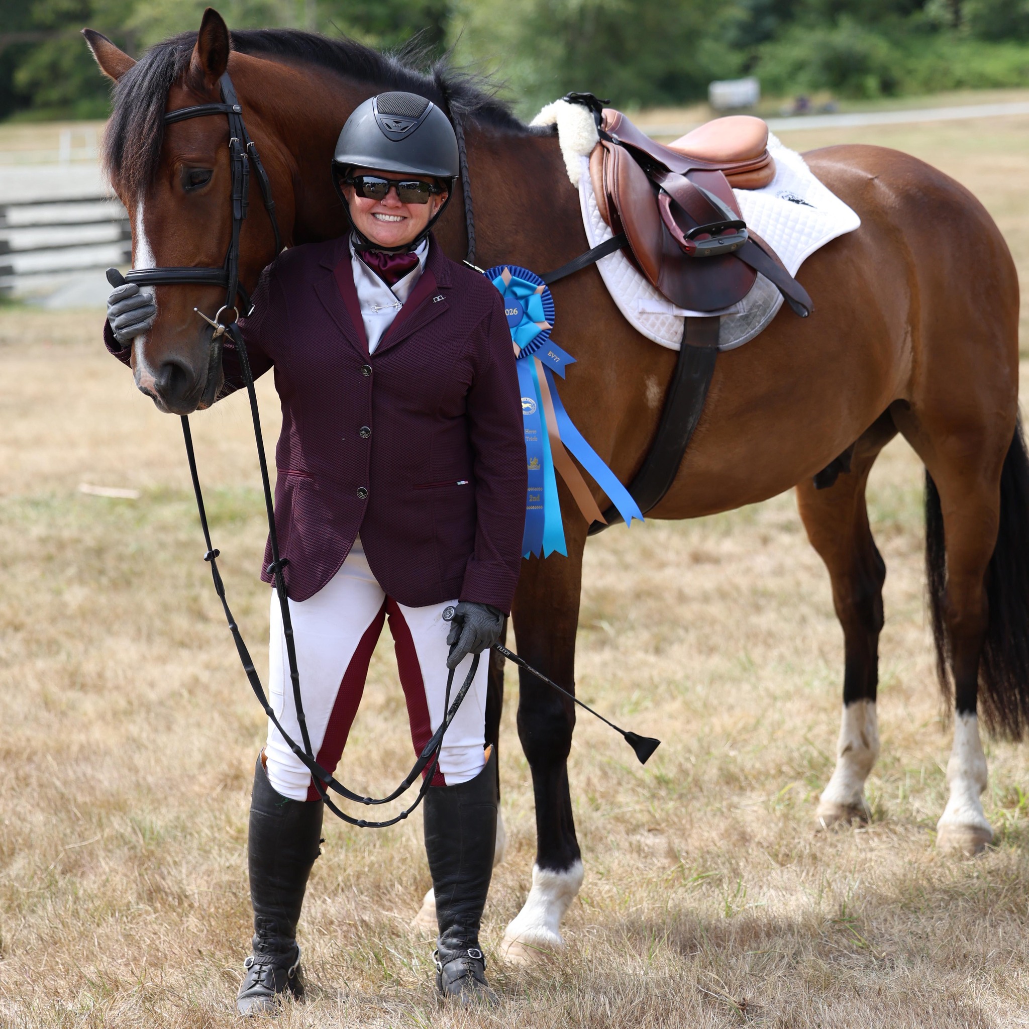 Canadian Connemara Pony Society | Devon Ridge Dillicious (Bantry Bays ...