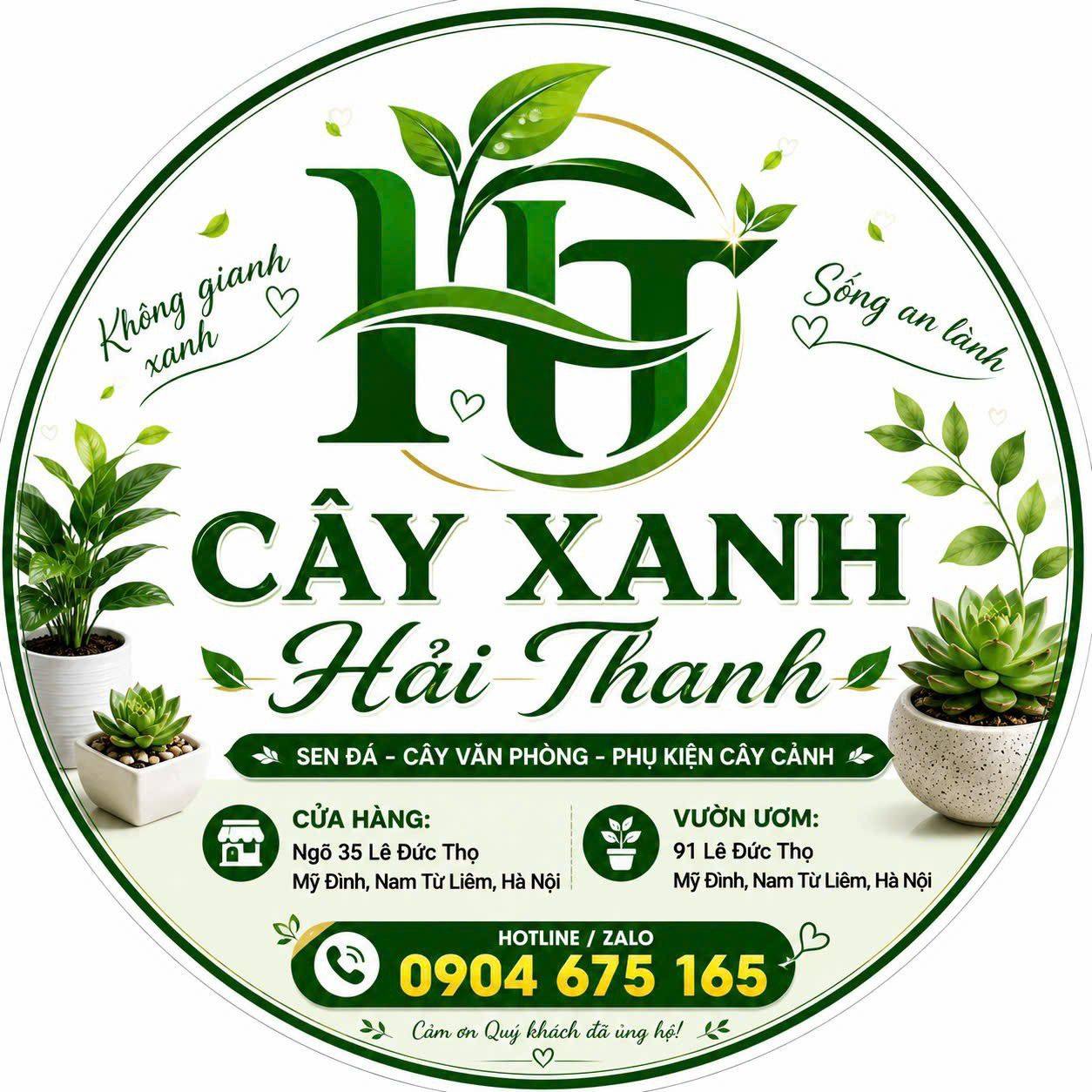 Xnk Hải Thanh