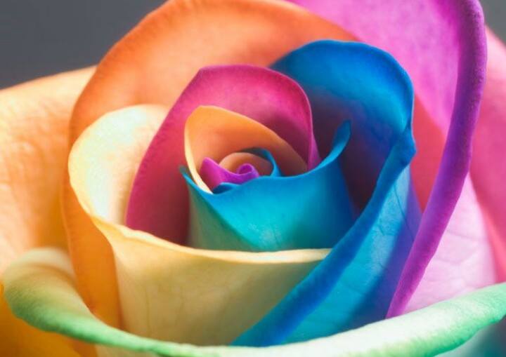 ?media_id=100010493223867