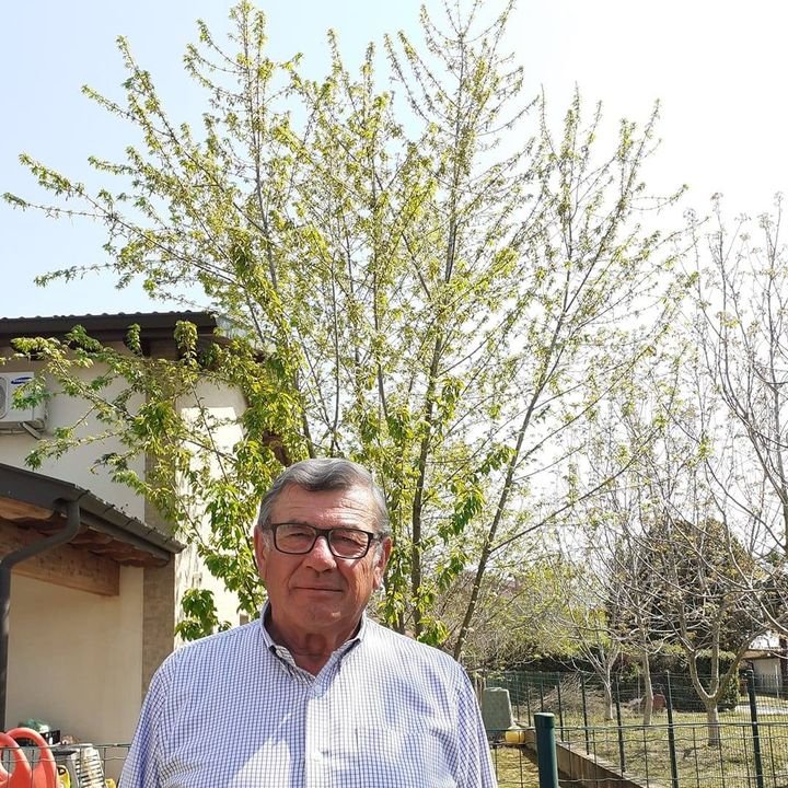 Passione Orto | Salve a tutti sono nuovo del gruppo e vorrei un ...