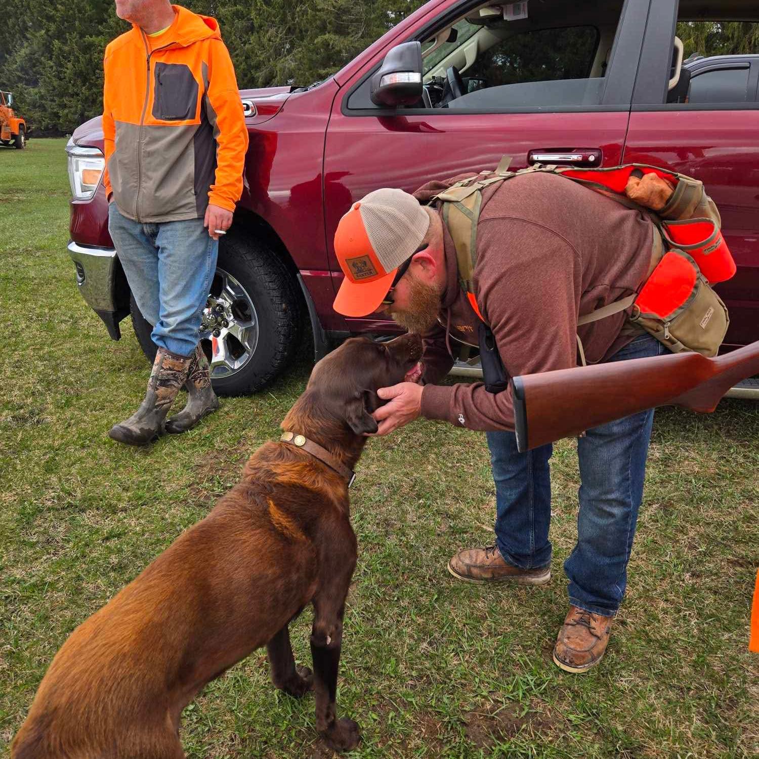 American Pointing Labrador Association | Looking for a pup late winter ...