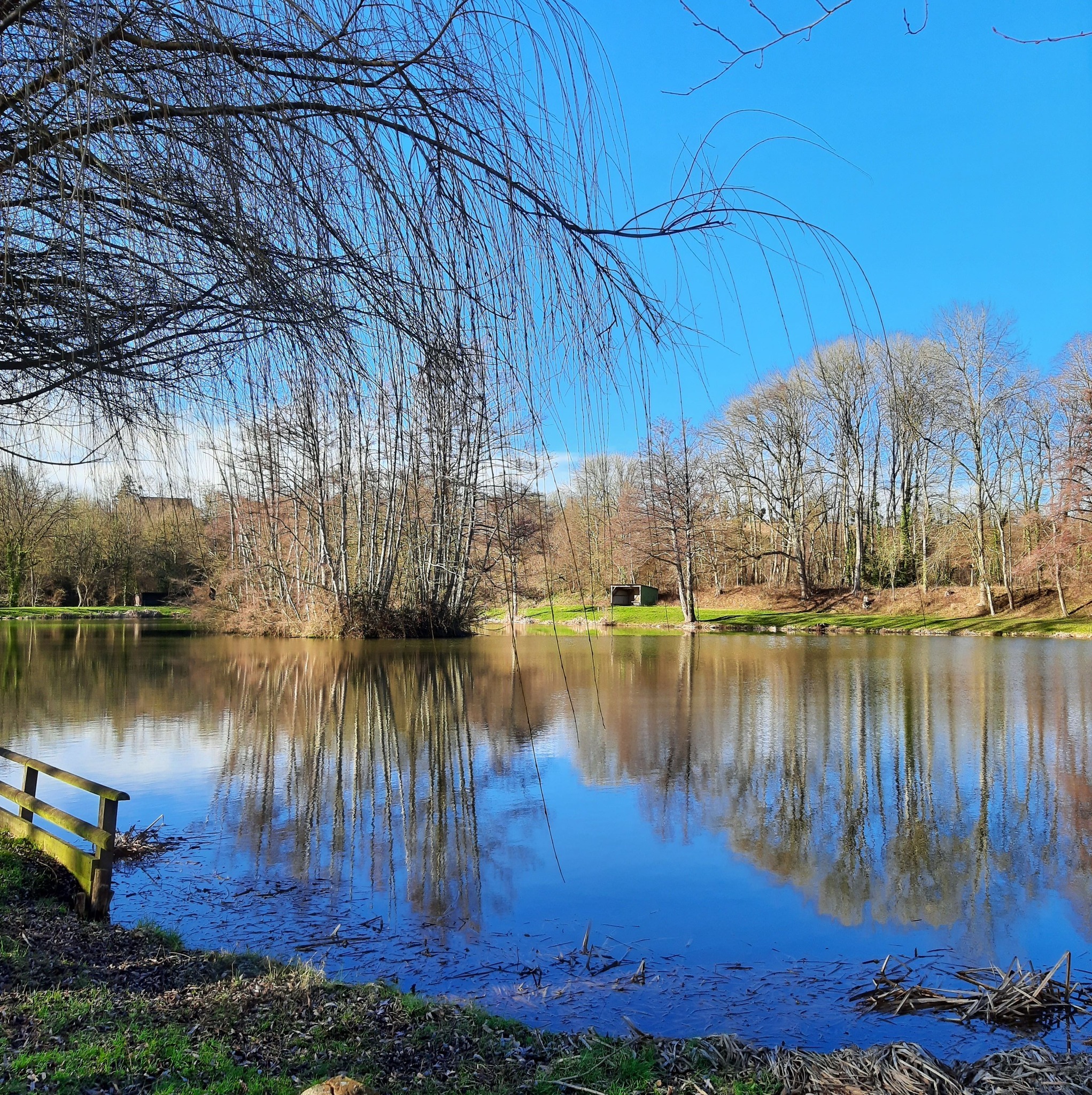 Et bien sûr, le printemps ne serait pas le printemps si il n'y avait ...