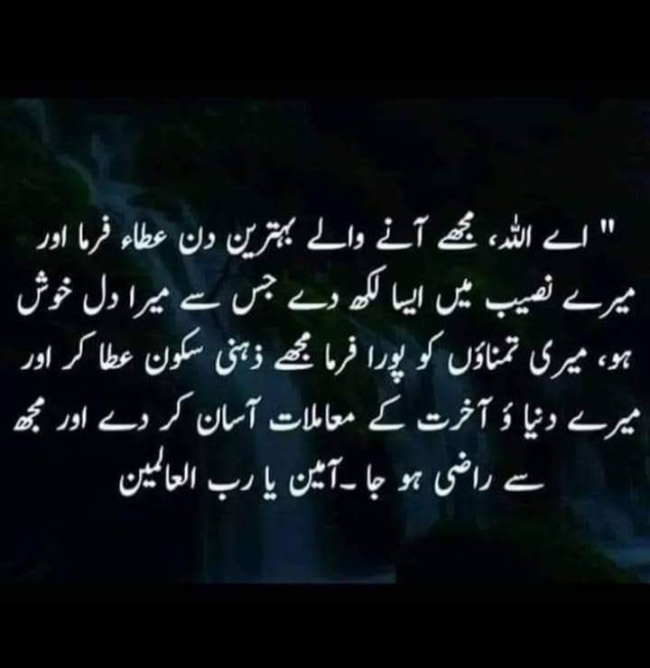 Naseem Arain on Reels