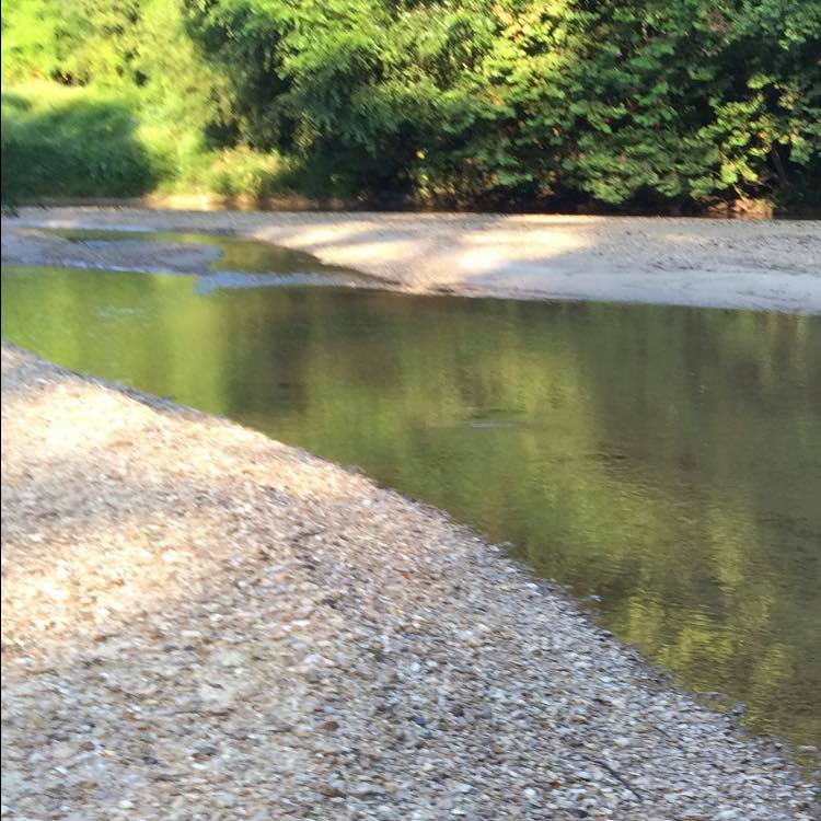 Log Jam cleaning in Valdosta #logjam #seaweed #amphibousexcavator # ...