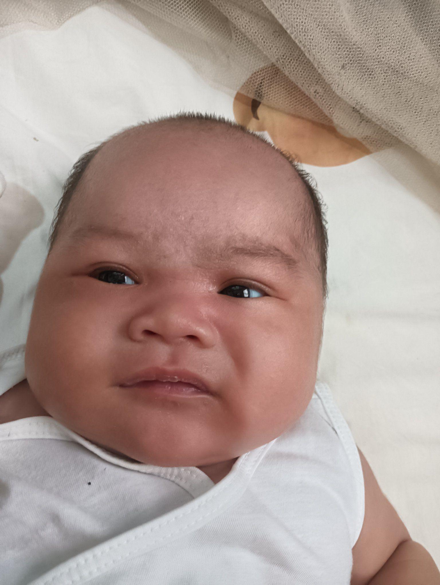 inom inom mn og milk batata nako | Jomark Ani Tomol