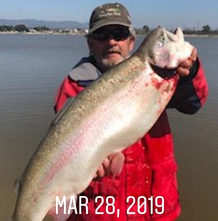 IS THIS A BULLET TUNA? | Your Saltwater Guide