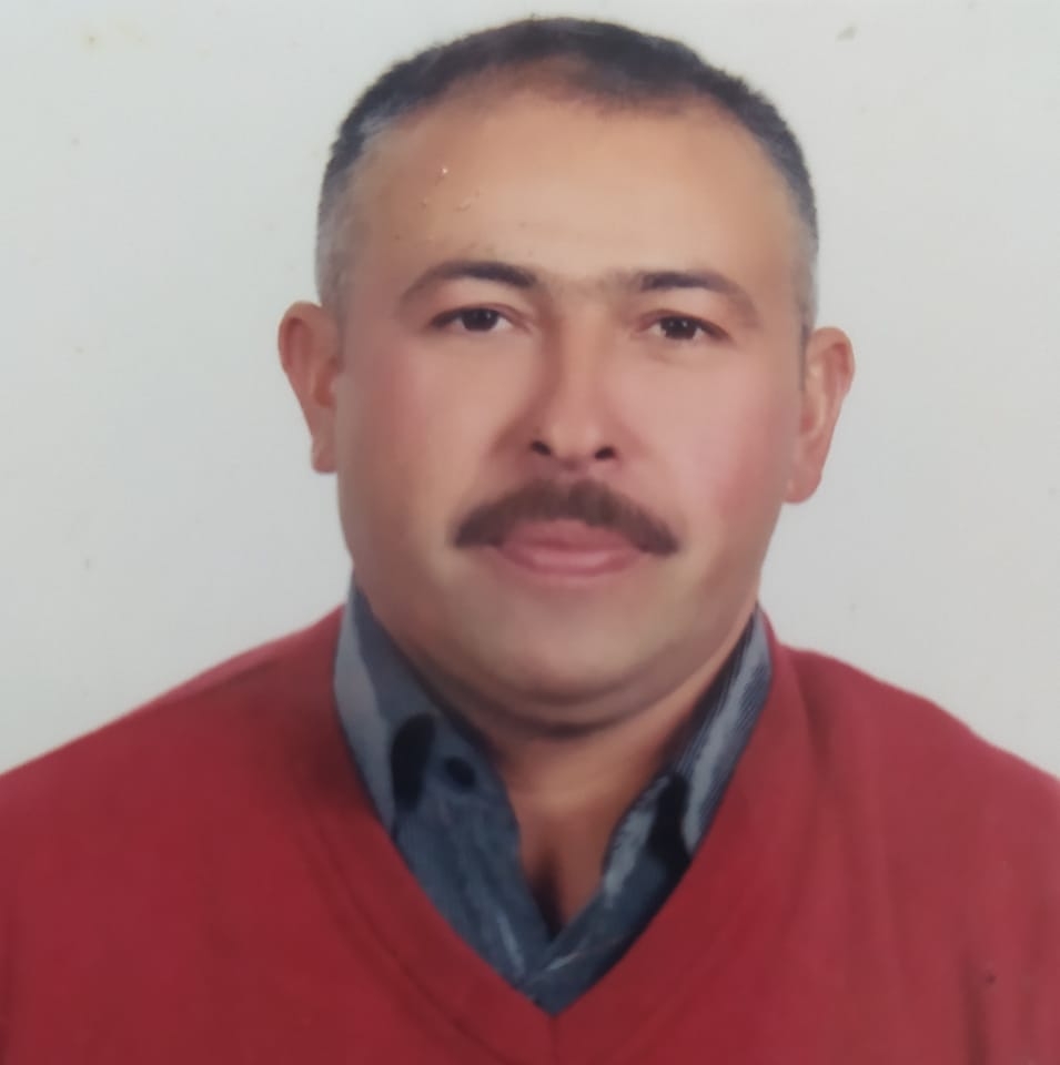 1300 metre kare BEŞ ON TAHTA KAPLAMA çati Yetişen alır UYGUN FİYATA ...