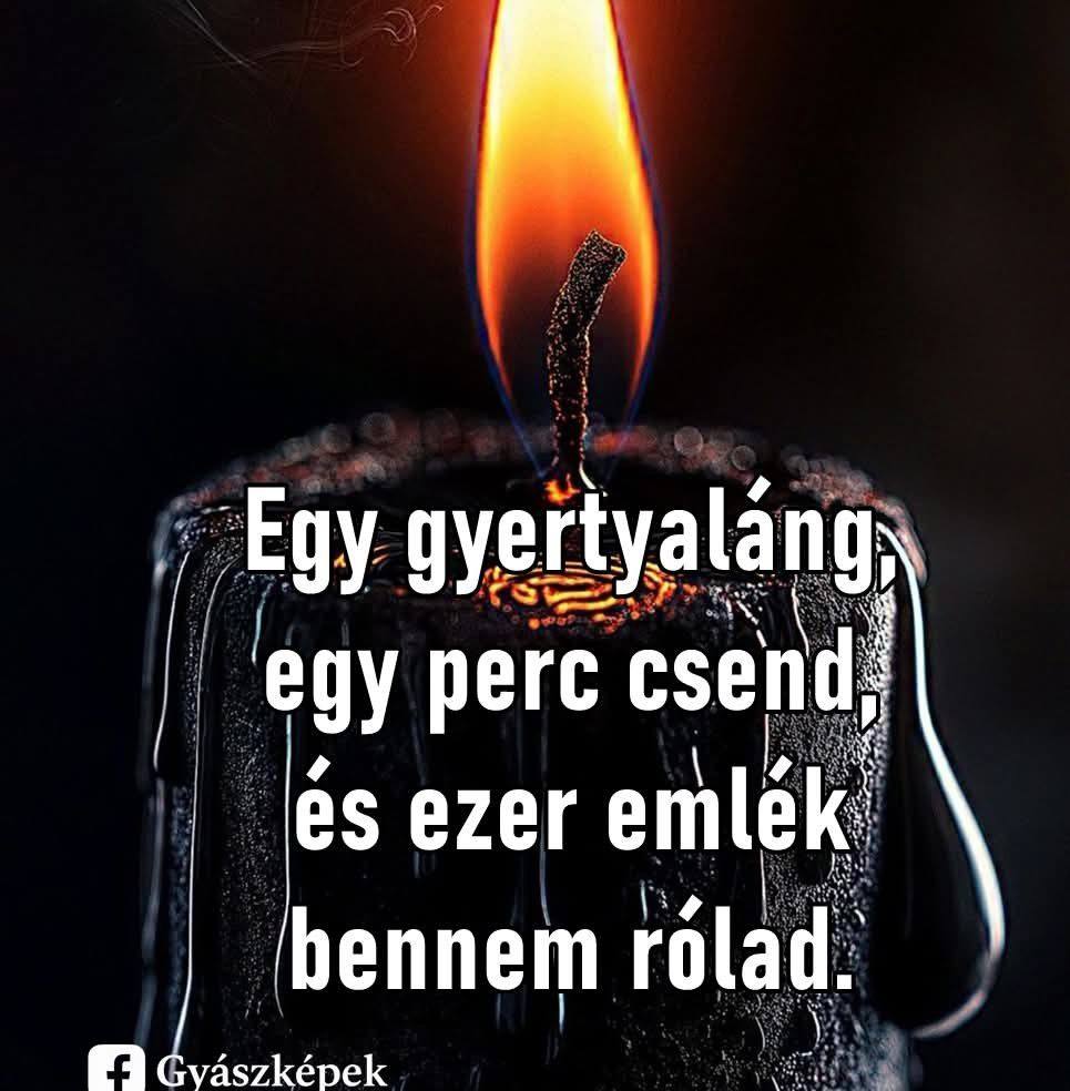 Ismerős Arcok - Nélküled 🤩 | Boros Öcsi | Facebook