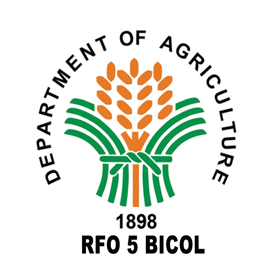 DA National Rice Program | Quezon City
