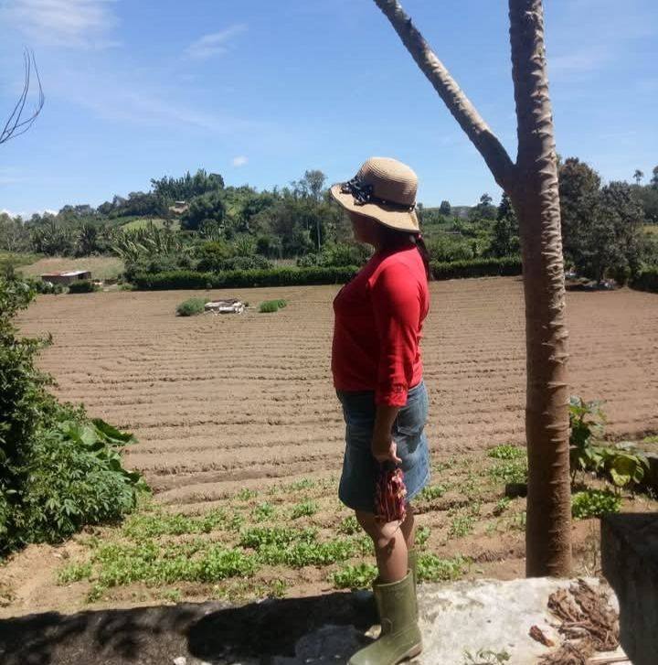 Rudang Mayang