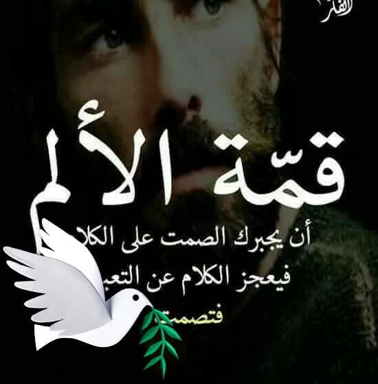abo-sherog