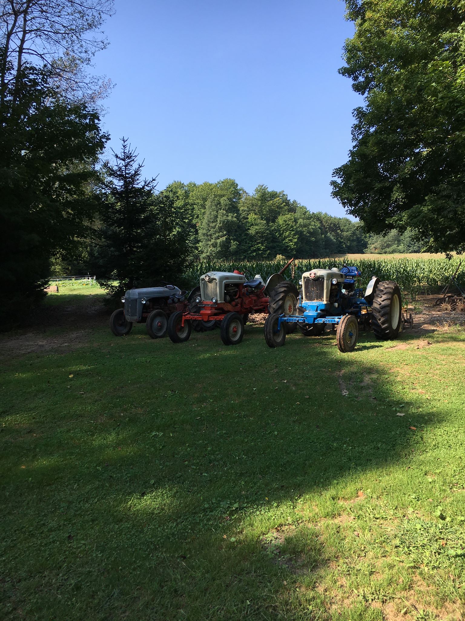 Old Ford Tractors | 641 randomly died while mowing today I came to a ...