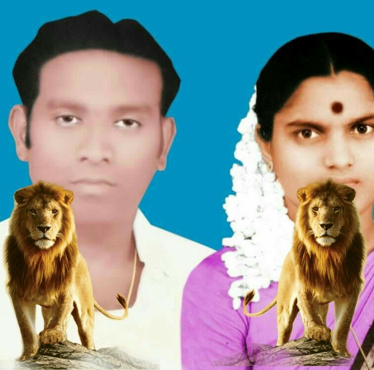 ஆலங்குடி சுற்றியுள்ள பகுதிகள் டிரைவர் தேவைக்கு | Ramachandran