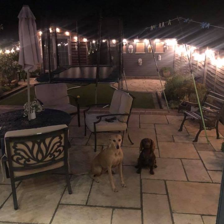 Walkern News and Chat Group | Hi Neighbours! Can anyone recommend a ...