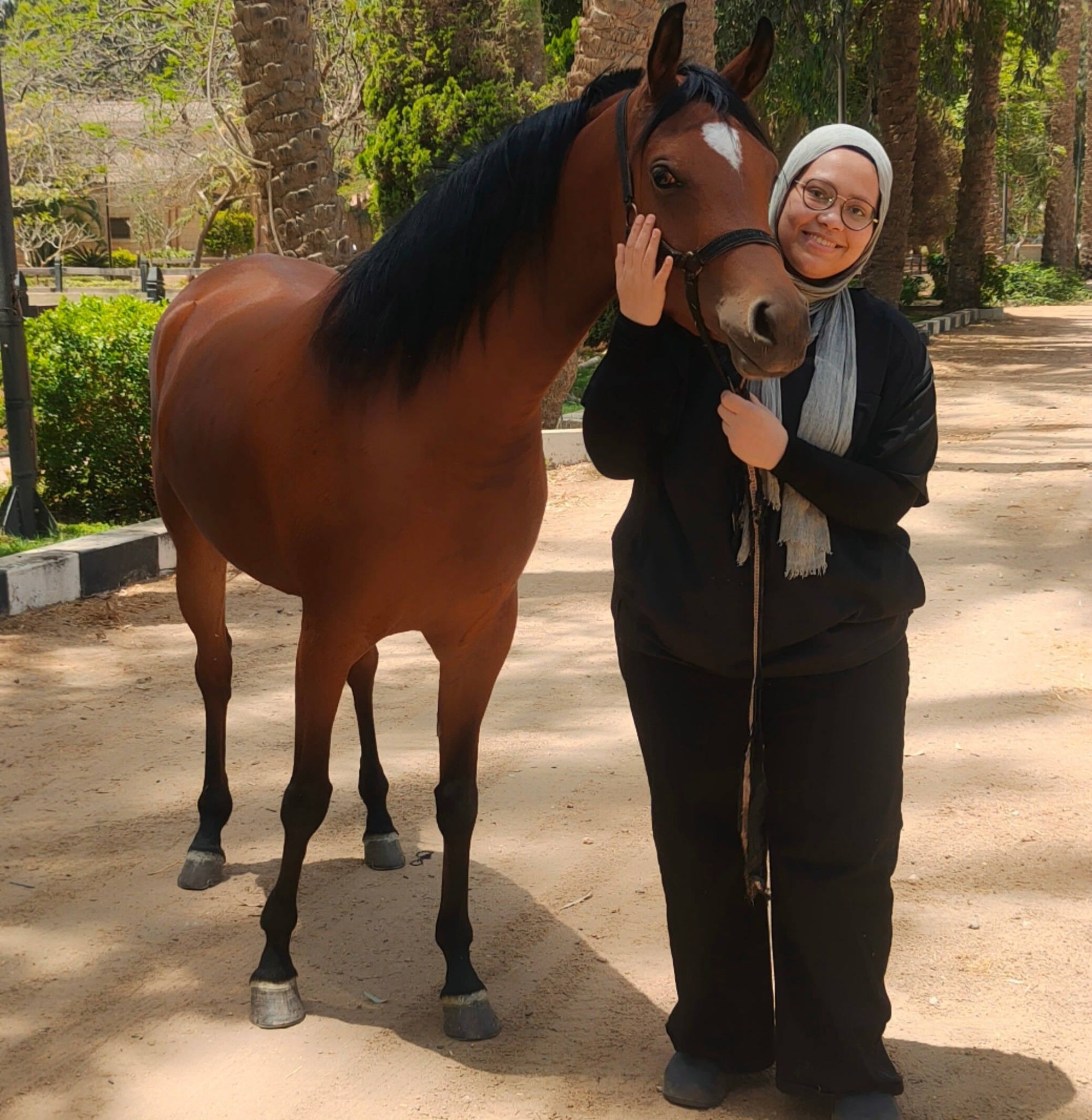 Reem Rady
