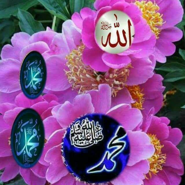 osama-zaid