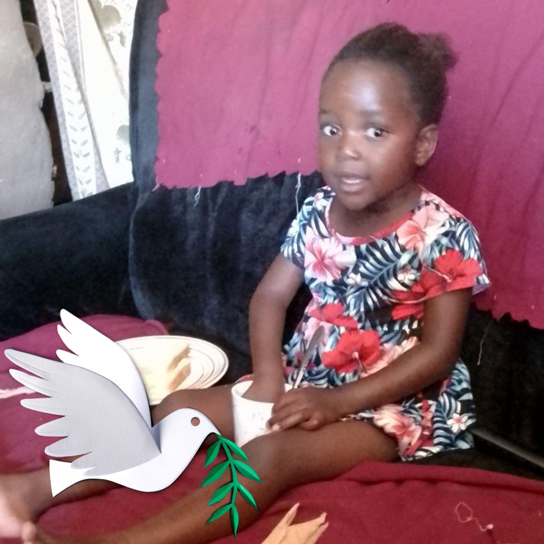 Namibia - NEW BROOM: Kabende Kabende was on Friday elected as the new ...