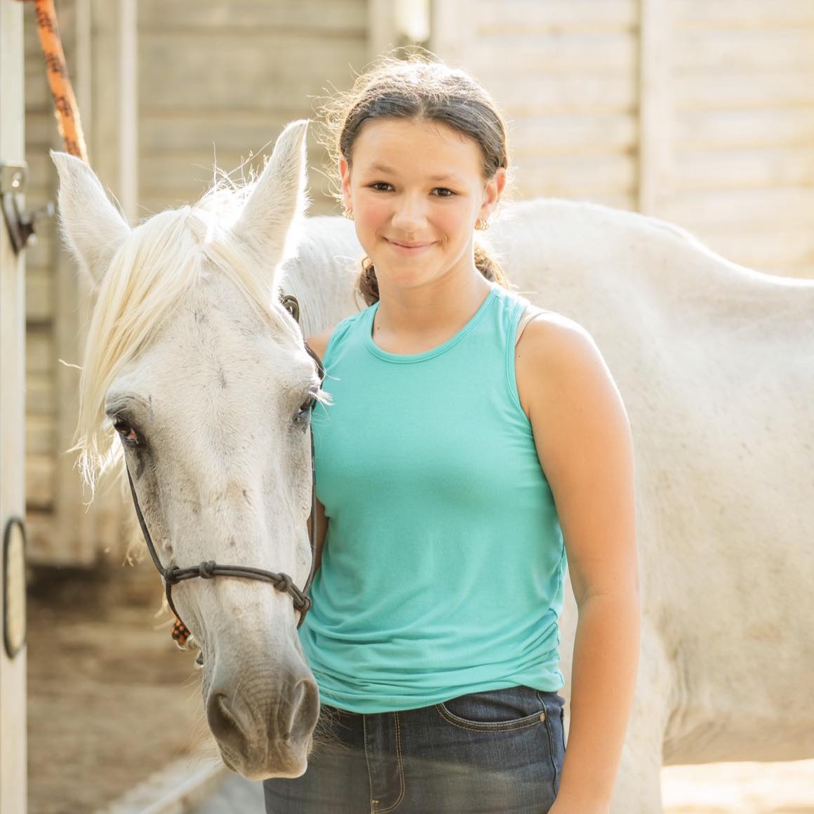 Beginner Safe Horses USA | Family, Trail & Ranch Horses | Looking for a ...