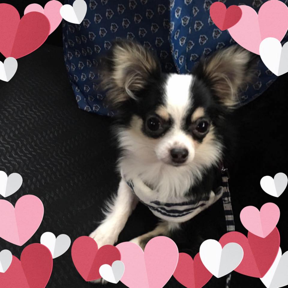 NOKKO - NOKKO updated their profile picture.