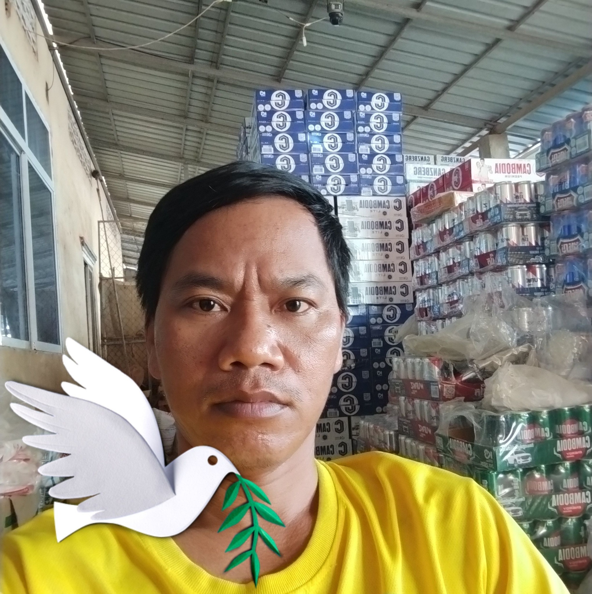 Soy Zhing
