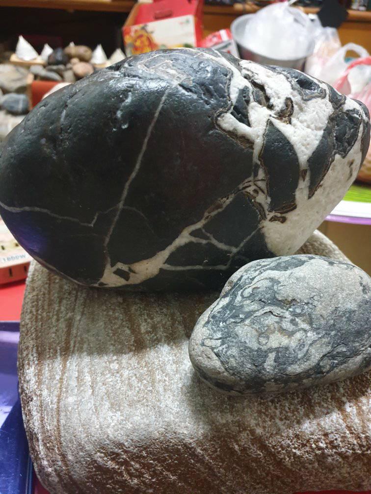釣魚人 | 新北市礁石區包刮萬里、瑞芳、貢寮部分地區釣魚有新規定，珊瑚礁魚未達20公分不得捕捉，像這種雀鯛（厚殼婆 ... | Facebook