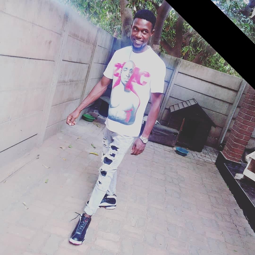 Thee Lioness Zw on Reels