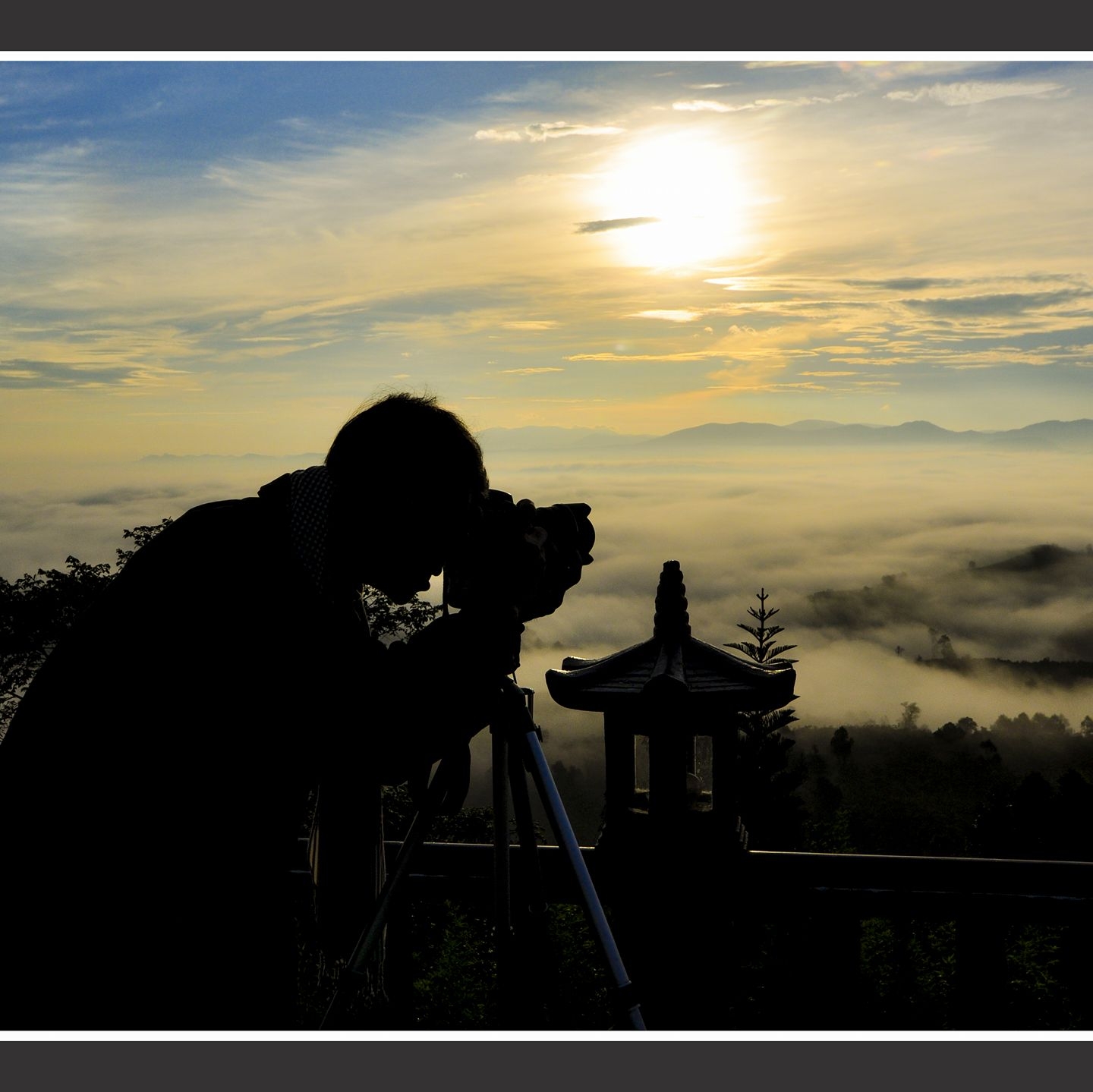 CHỢ MÁY ẢNH CŨ GIÁ RẺ ( CANON, NIKON, FUJIFILM, SONY ) | Chào mọi người ...