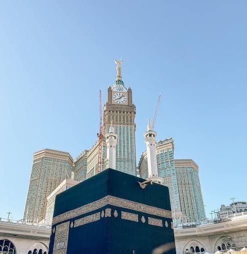 العثور على طائر غريب الصحراء | البرية