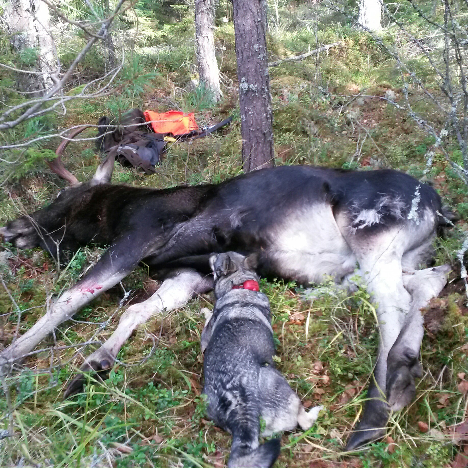Riski realisoituu - onko liikkumavaraa? Asuminen on yksi merkittävimpiä ...