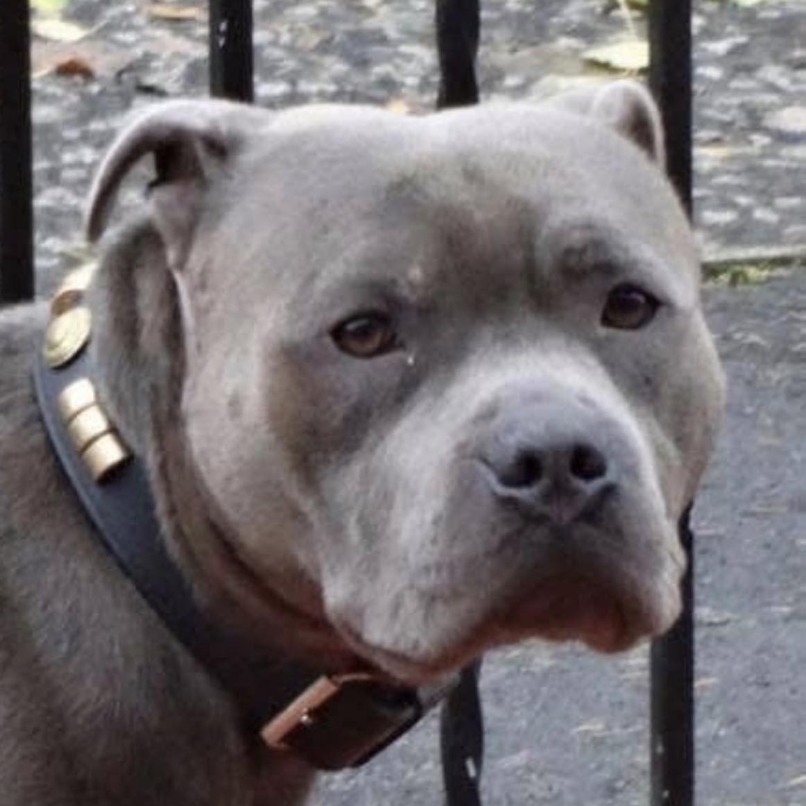 My boy only 7 months old ️Phil A King | John McQueen Ritchie