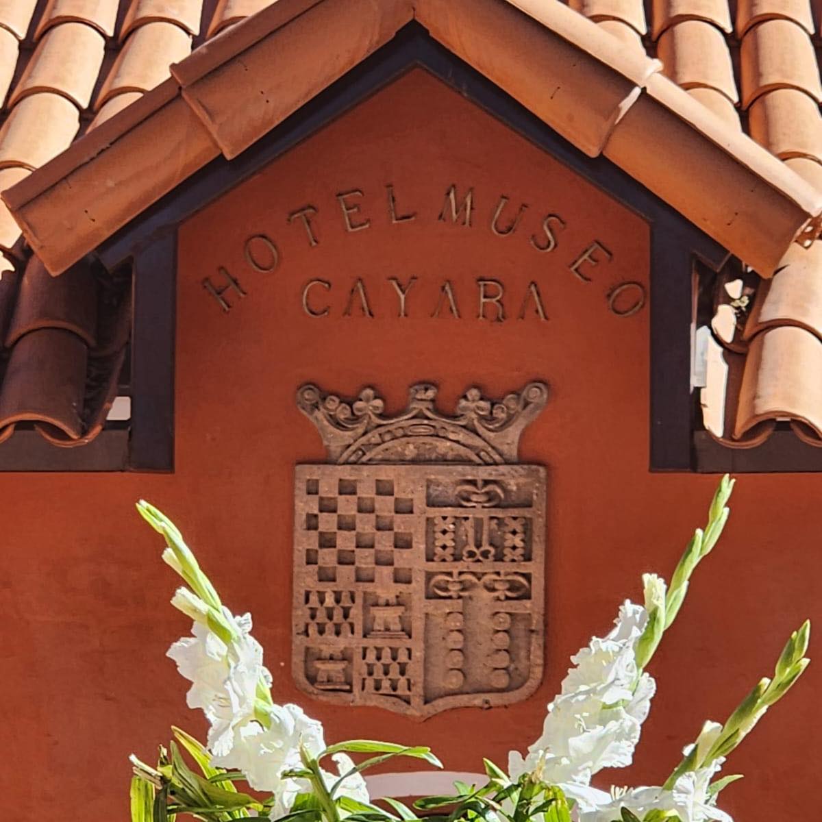 asistente-cayara