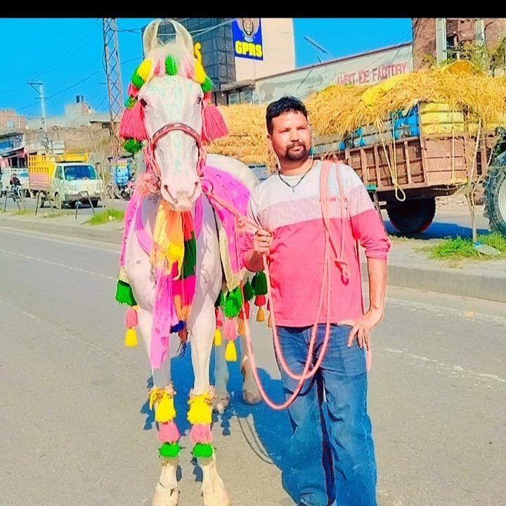 Ravi Sher Singh