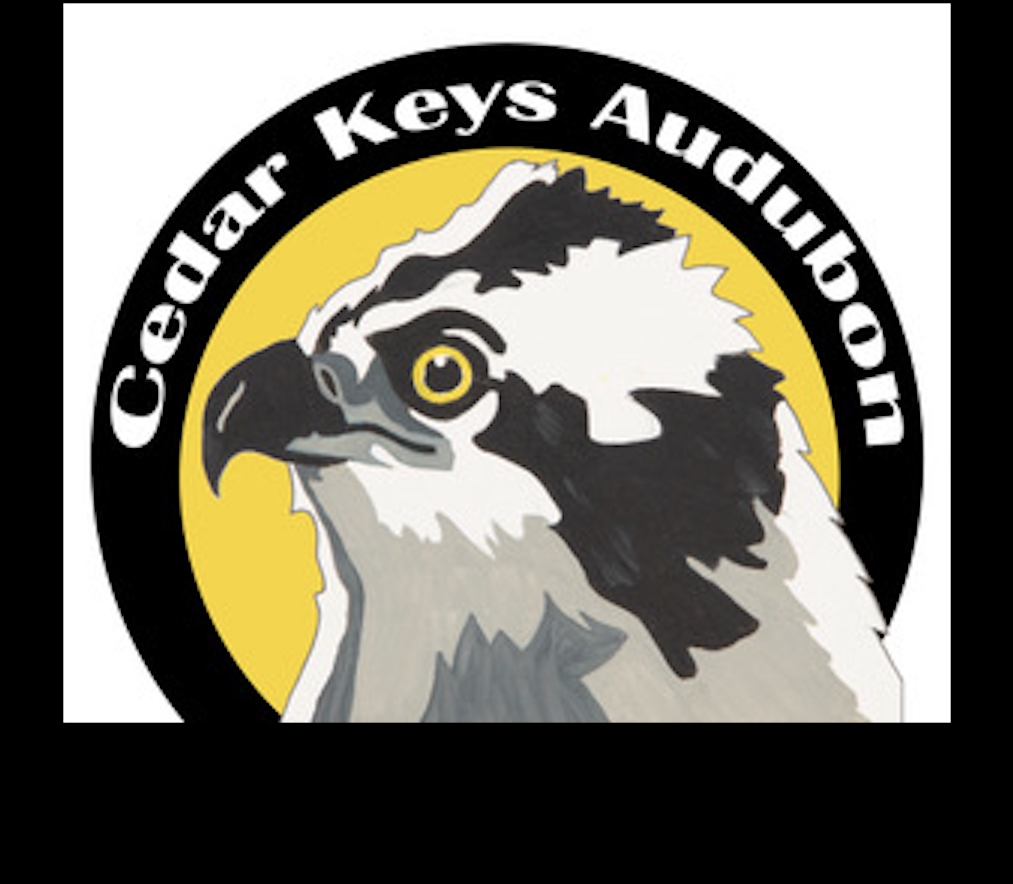 Tampa Bay Raptor Rescue & Sanctuary | Clearwater FL