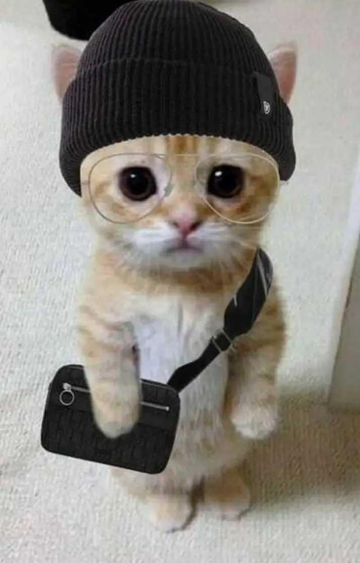 Want more ? Check comment 👇👇👇... When you first learned to write code ...