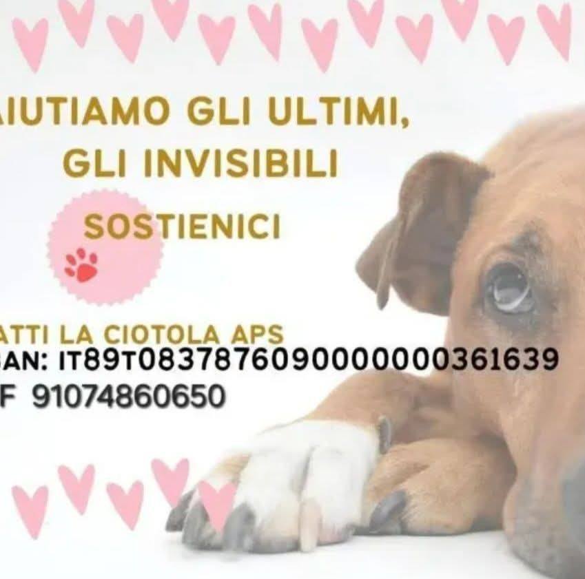 Se ne va una colonna di Marina di Camerota. Matteo Diotaiuti, per tutti ...