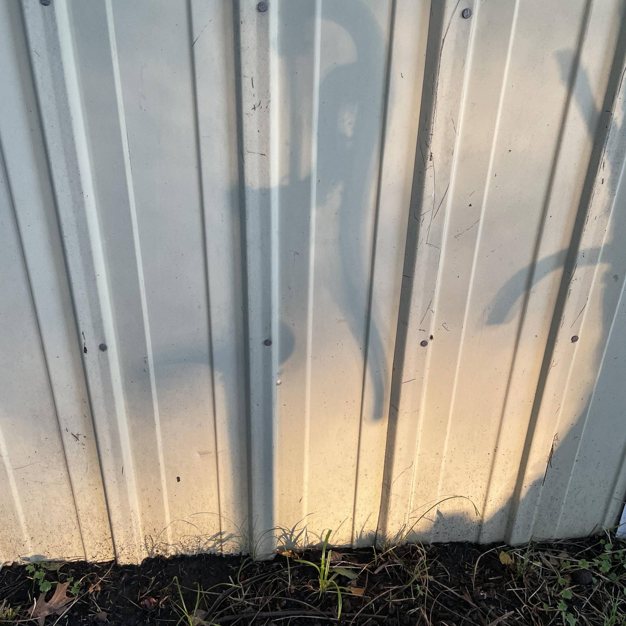 67- 72 FORD BUMPSIDE TRUCK | Does anyone know of a good front disc ...