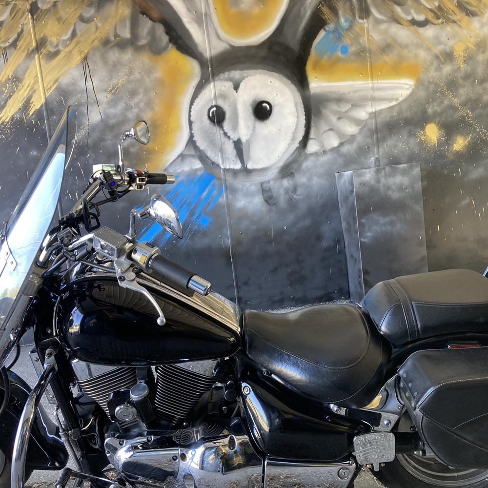 Suzuki Boulevard C90 | Anyone knows how much to torque the handle bar ...