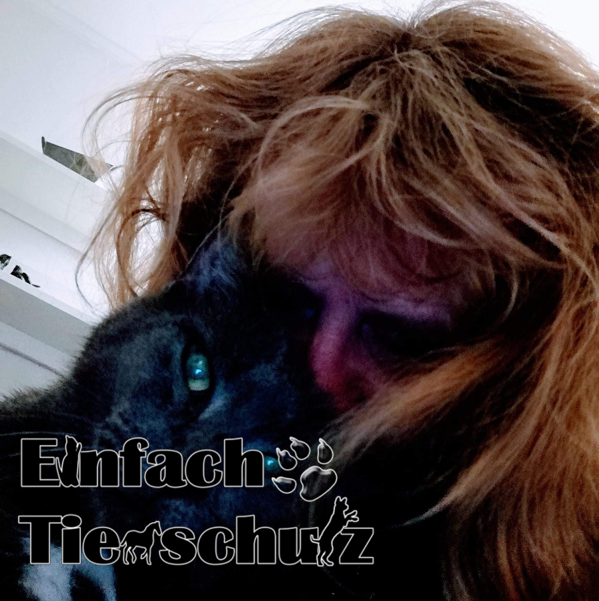 Aller guten Dinge sind drei: Happy sucht ihr endgültiges Zuhause! 🍀🐶 ...