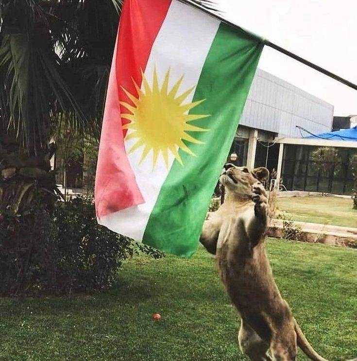 Hûn li ser vê mijarê çi difikirin? Siz bu konu hakkında ne ...