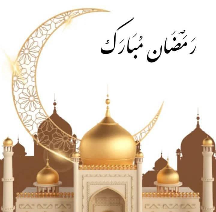 Musafa Musafa