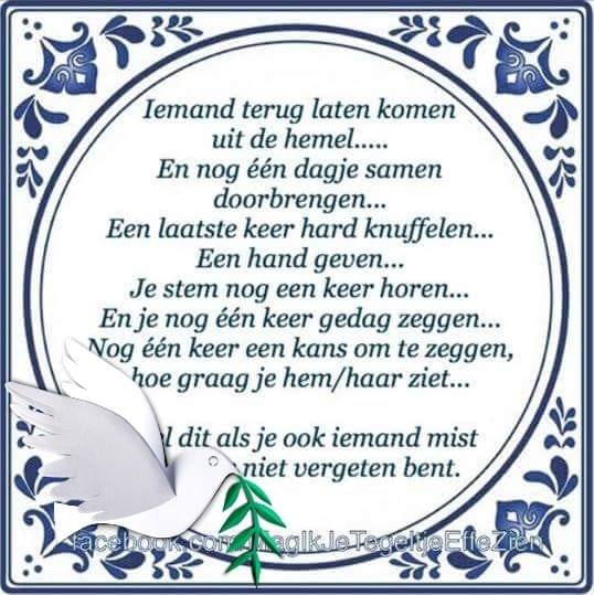OVERVECHT! | Dirk van zambesidreef gaat dicht vanwege de verbouwing ...