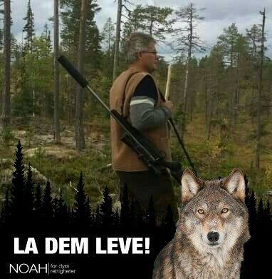 Norge først