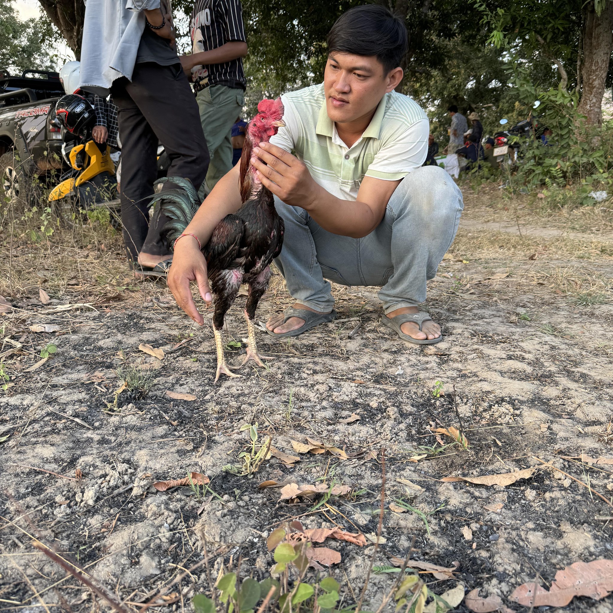 Black Snake | អ្នកចម្បាំង អង្គរ