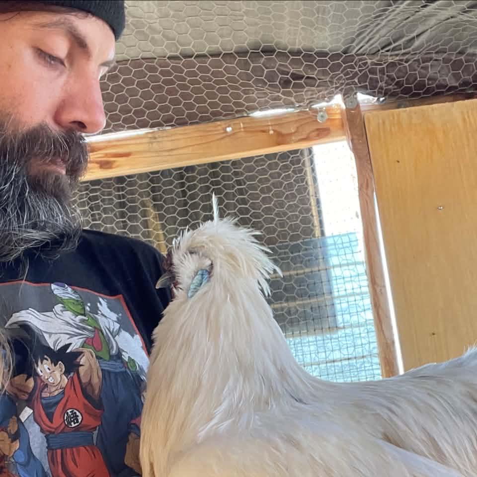 bantam chicken group | any guesses as to what type of bird this is ...